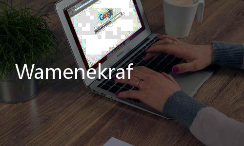 Wamenekraf Tekankan Pentingnya Perlindungan Data Terhadap Layanan Keuangan